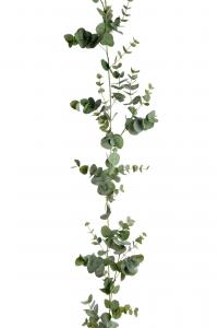 Eucalyptus girlang - Grön - 190 cm - www.frokenfraken.se