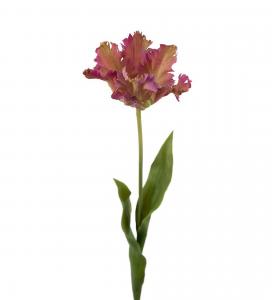 Tulpan - Lila - 70 cm - www.frokenfraken.se