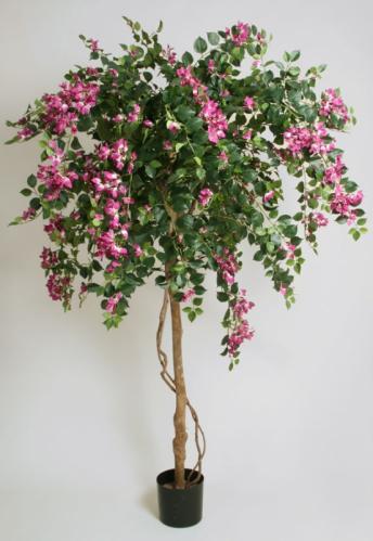 Bougainvillea - Blommande stort trd - Lila - Konstvxt - 240 cm - www.frokenfraken.se