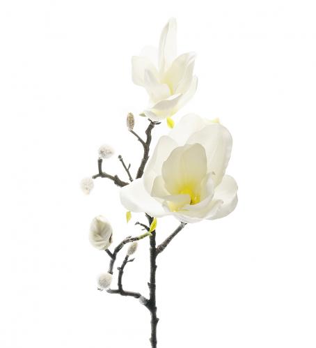Magnolia - Vit - 60 cm - www.frokenfraken.se