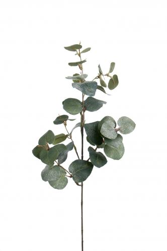 Eucalyptus med is - Grn - 70 cm - www.frokenfraken.se