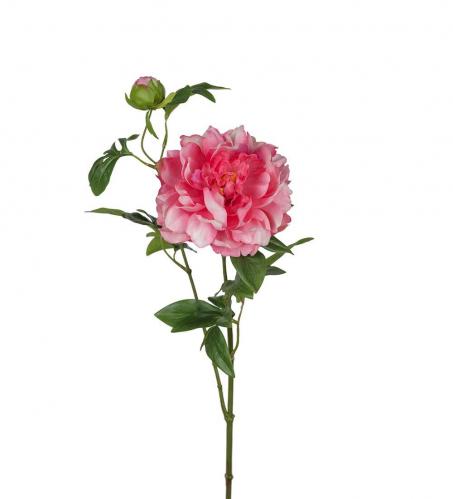 Pion - Rosa - 65 cm - www.frokenfraken.se