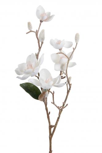 Magnolia med is - Vit - 65 cm - www.frokenfraken.se