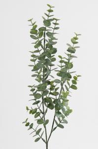 Eucalyptus - Grön - 74 cm - www.frokenfraken.se