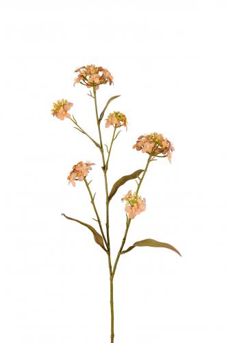 Blomster Iberis - Brun - 60 cm - www.frokenfraken.se