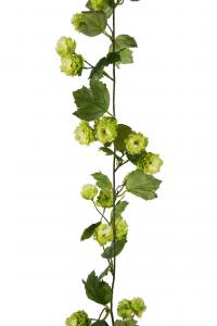 Humlegirlang - Grön - 150 cm - www.frokenfraken.se