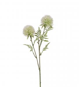 Allium - Vit - 60 cm - www.frokenfraken.se