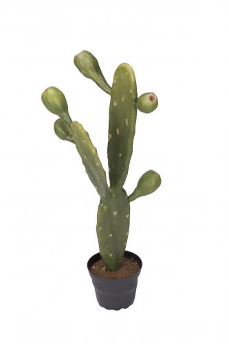 Kaktus - Grn - 45 cm - www.frokenfraken.se