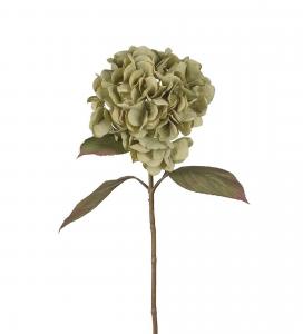 Hortensia - Grön - 65 cm - www.frokenfraken.se