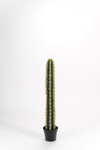Kaktus - Grn - 98 cm - www.frokenfraken.se