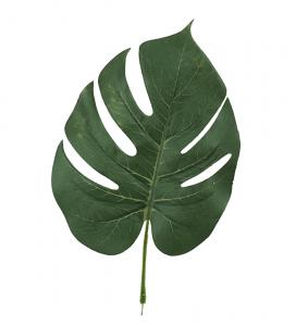 Monstera blad - 28 cm - www.frokenfraken.se