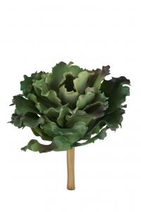 Succulent - Grön - 20 cm - www.frokenfraken.se