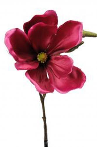 Magnolia - Rosa - 30 cm - www.frokenfraken.se
