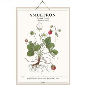 Skolplansch Smultron - Vit, Grön, Röd - B46 x H66 cm - www.frokenfraken.se