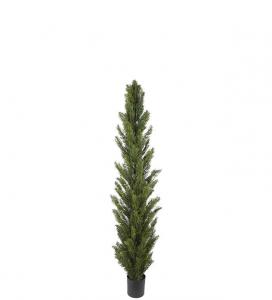 Cypress - Grön - 120 cm - www.frokenfraken.se