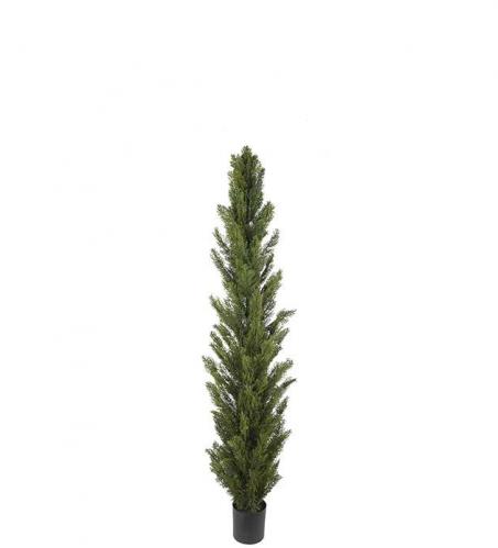 Cypress - Grn - 120 cm - www.frokenfraken.se