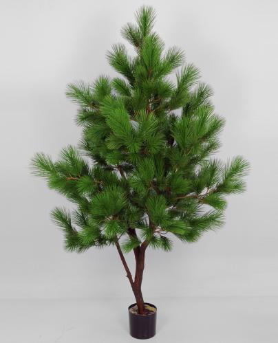Tallar - Pine Trees - 170 cm - 2 st - www.frokenfraken.se