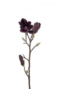 Magnolia - Röd - 50 cm - www.frokenfraken.se