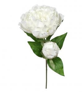 Pion - Vit - 35 cm - www.frokenfraken.se
