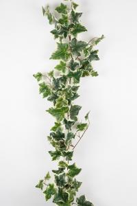 Murgröna - Grön - 180 cm - www.frokenfraken.se