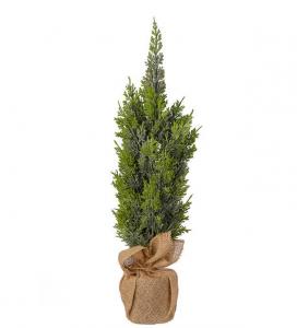 Cypress i kruka av säckväv - Julträd - 65 cm - www.frokenfraken.se