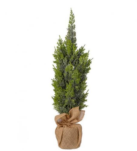 Cypress i kruka av sckvv - Jultrd - 65 cm - www.frokenfraken.se