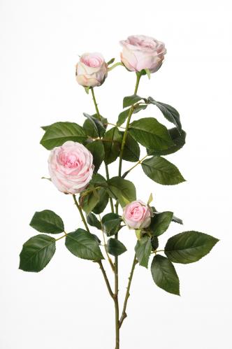 Ros - Rosa - 60 cm - www.frokenfraken.se