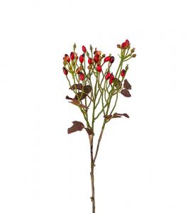 Nypon - Röd - 60 cm - www.frokenfraken.se