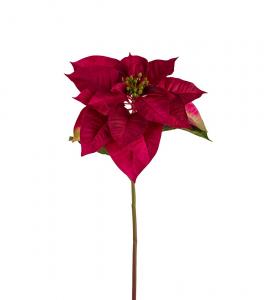 Julstjärna - Röd - 70 cm - www.frokenfraken.se