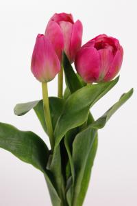 Tulpaner - 3-pack - Rosa - 36 cm - www.frokenfraken.se