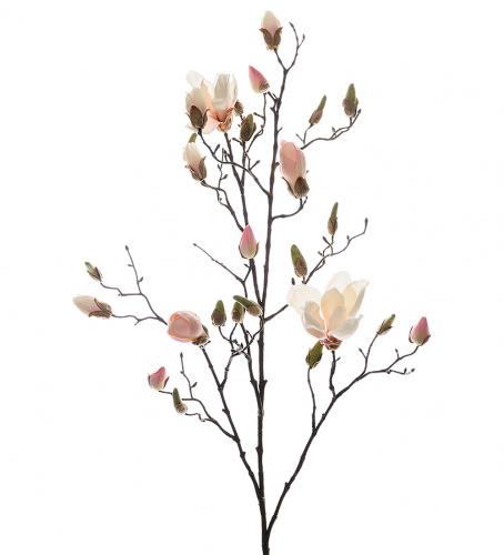 XXX_VÅR_Magnolia - Vit/Rosa - 110 cm - www.frokenfraken.se