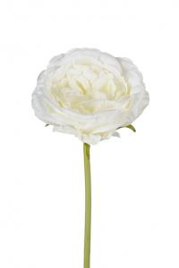 Ros - Vit utslagen sidenros - 25 cm - www.frokenfraken.se