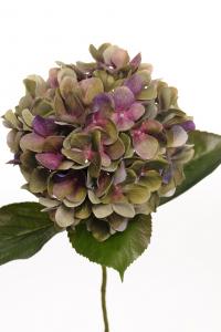 Hortensia - Lila - 65 cm - www.frokenfraken.se