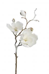 Magnolia med is - Vit - 50 cm - www.frokenfraken.se
