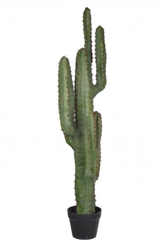 Kaktus - - 160 cm - www.frokenfraken.se
