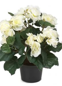 Begonia Vit - Konstväxt - 28 cm - www.frokenfraken.se