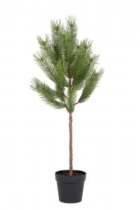 Tall - Grön - 110 cm - www.frokenfraken.se