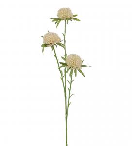 Amaranth - Vit - 60 cm - www.frokenfraken.se