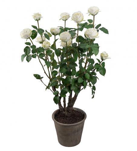 Ros - Vit rosenbuske i kruka - Konstvxt - 125 cm - www.frokenfraken.se