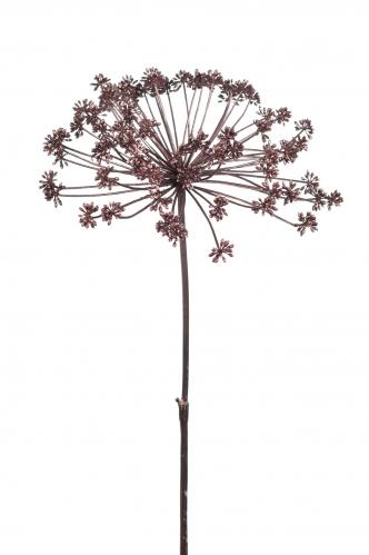 Allium - Brons - 105 cm - www.frokenfraken.se
