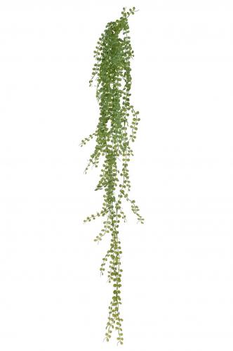 Succulent - Grn - 90 cm - www.frokenfraken.se