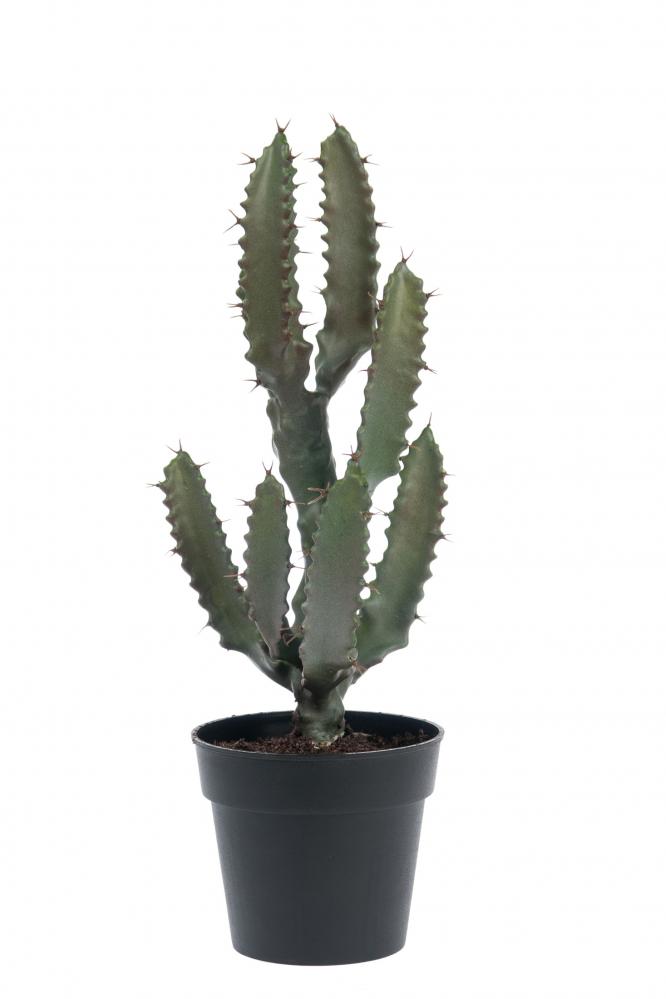 Kaktus - Grön - 35 cm från Mr Plant 280.00 kr - Fröken Fräken