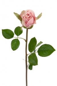 Ros - Ljusrosa sidenros - 50 cm - www.frokenfraken.se