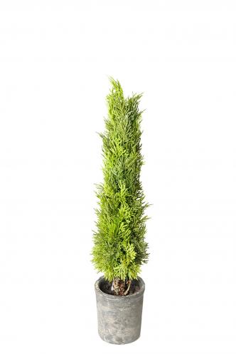 SLUT_Cypress - Grn - 55 cm - www.frokenfraken.se
