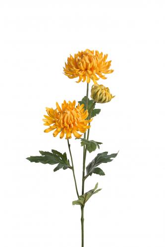 Chrysanthemum - Gul - 60 cm - www.frokenfraken.se