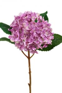 Hortensia - Lila sidenblomma - Ø12 cm - www.frokenfraken.se