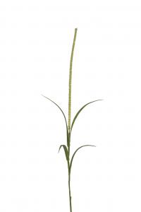 Gräs - Grön - 100 cm - www.frokenfraken.se