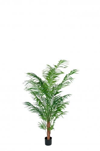 Areca Palm - Grn - 150 cm - www.frokenfraken.se