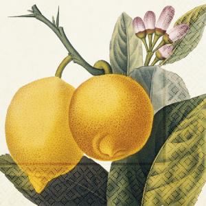 Servett - Citroner - 33 x 33 cm - www.frokenfraken.se