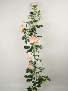 Rosgirlang - Ljusrosa - Royal Rose - 147 cm - www.frokenfraken.se
